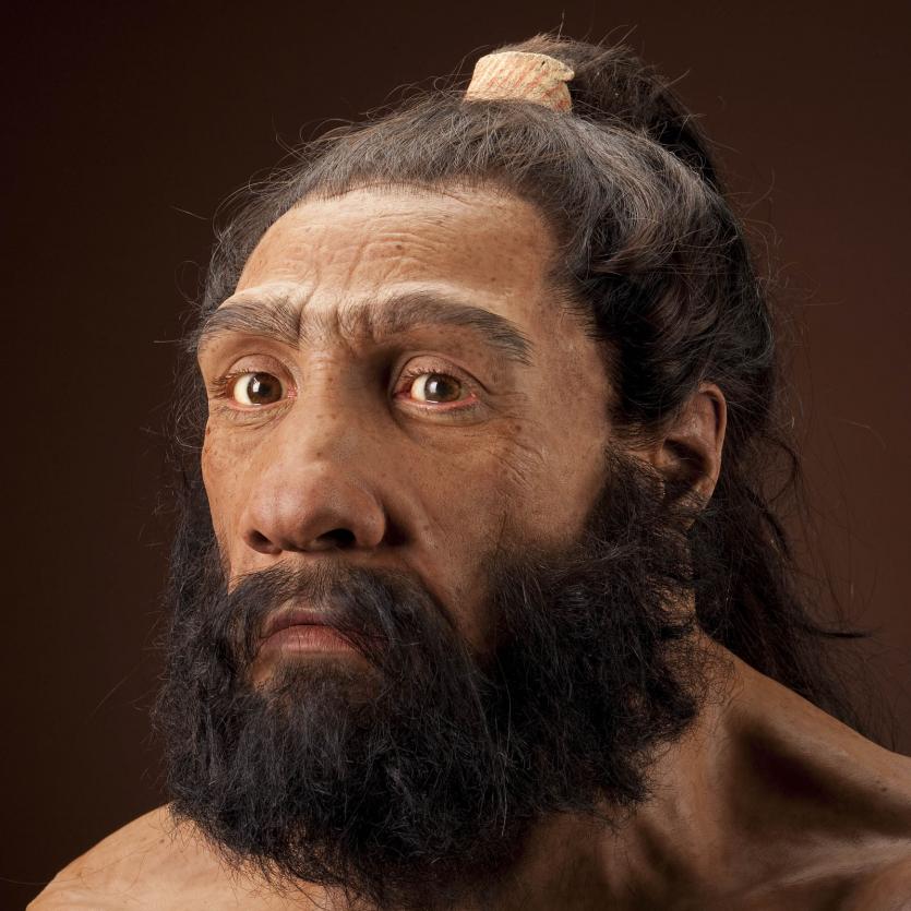 Homme de Néanderthal